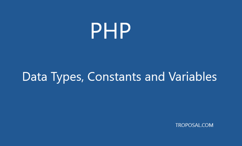 data type, constant, variable