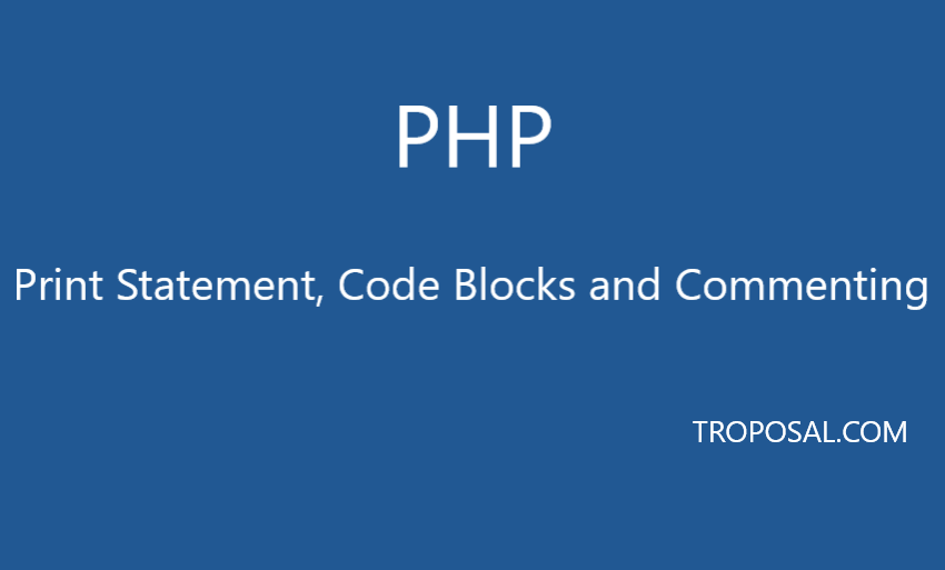 print-statement-code-blocks-comments-php