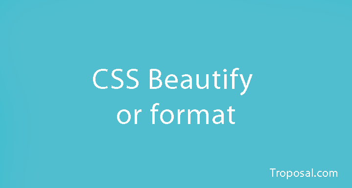 CSS Beautify Or Format
