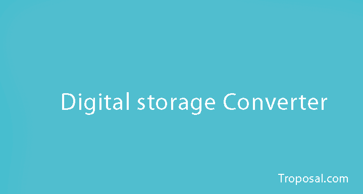 Digital store converter
