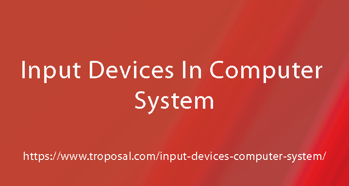 Input Devices in Computer System