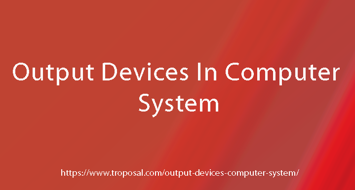 Output Devices in Computer System