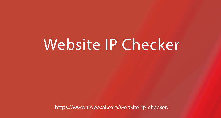 Website IP Checker