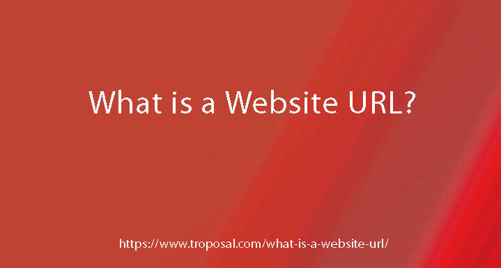 Website URL